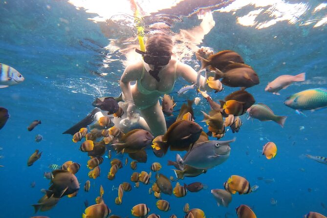 Snorkeling In Nusa Penida Island With Manta Ray From Bali - Good To Know