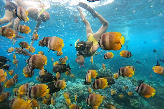Snorkeling In Nusa Penida Island With Manta Ray From Bali - Inclusions and Pricing