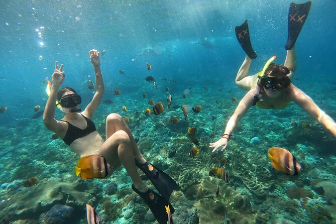 Snorkeling In Nusa Penida Island With Manta Ray From Bali - Positive Traveler Feedback