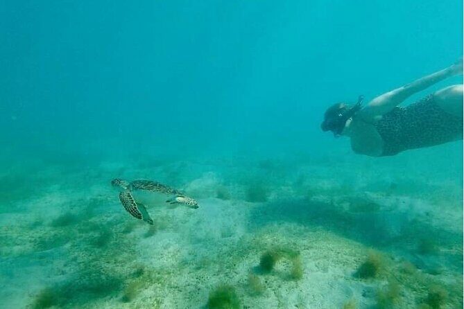Snorkeling in Paradise - Videos Included - An In-Depth Look at the Tour Experience