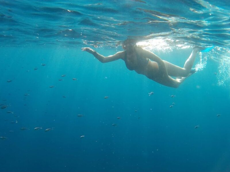 Snorkeling in Port City - Booking Information