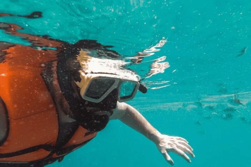 Snorkeling in Port City - Experience Highlights