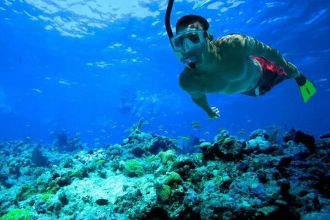 Snorkeling in Port City - Environmental Awareness