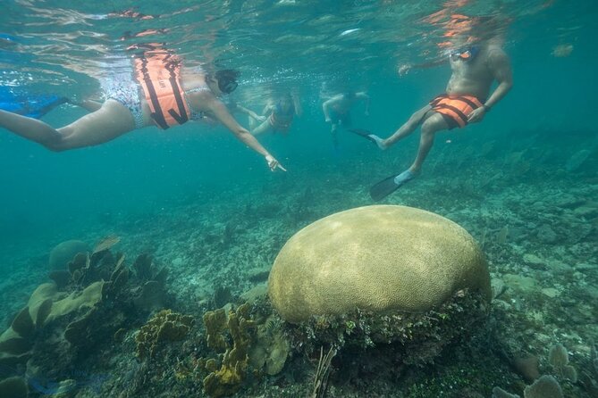 Snorkeling in Puerto Morelos With a Certified Guide! - Accommodating Different Skill Levels