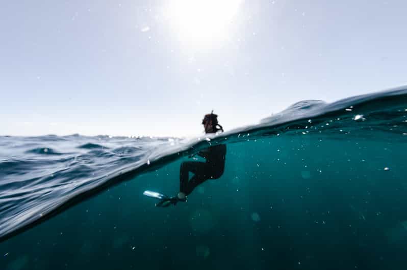 Snorkeling in San Jose Del Cabo - Key Points