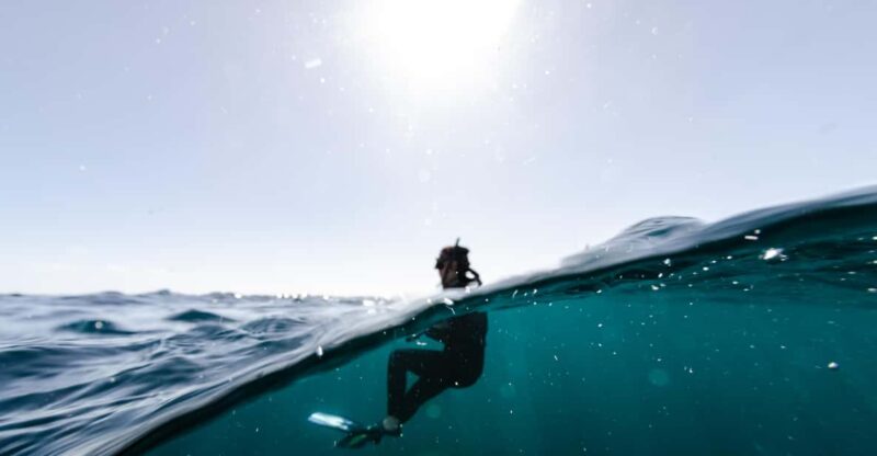 Snorkeling in San Jose Del Cabo - Booking and Reservations