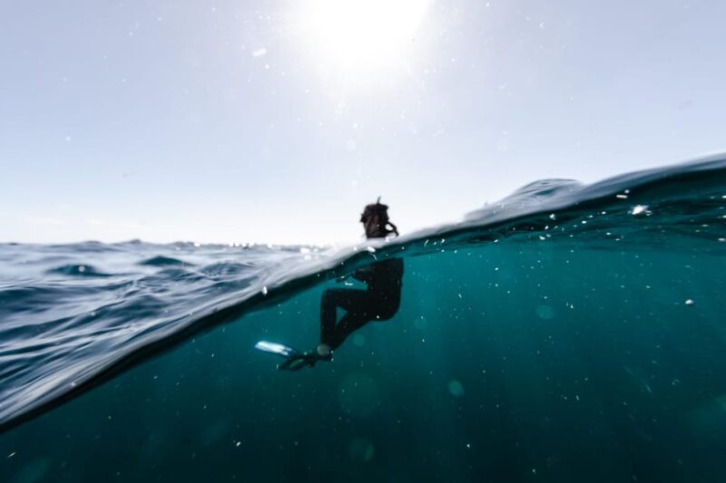 Snorkeling in San Jose Del Cabo - Snorkeling Experience