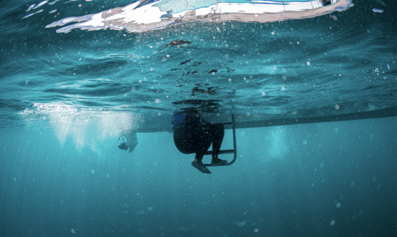 Snorkeling in San Jose Del Cabo - Inclusions and Exclusions