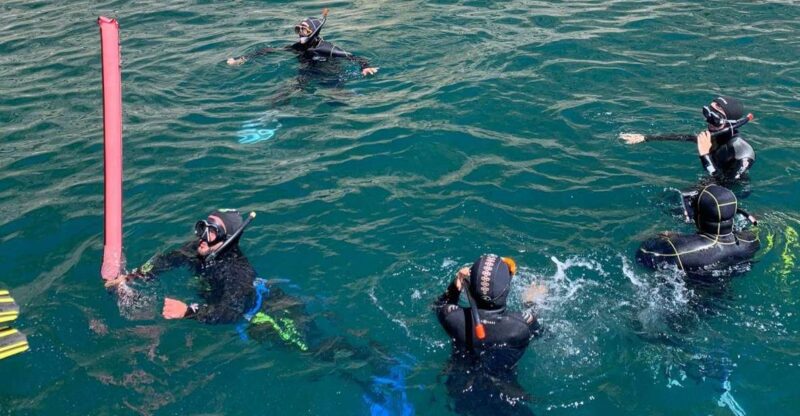 Snorkeling in Sesimbra - Highlights and Features