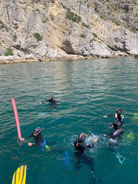 Snorkeling in Sesimbra - Key Points