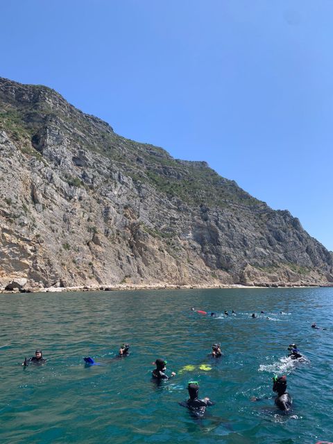 Snorkeling in Sesimbra - Itinerary and Experience