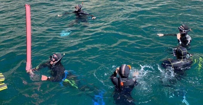 Snorkeling in Sesimbra - Frequently Asked Questions