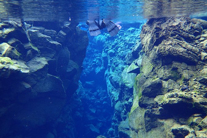 Snorkeling in Silfra From Reykjavík | Small Group + Free Photos - Accessibility and Fitness Level