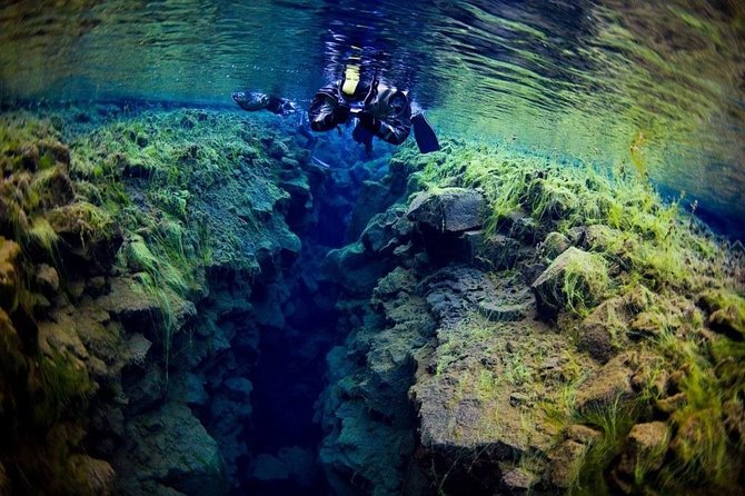 Snorkeling in Silfra From Reykjavík | Small Group + Free Photos - Highlights of the Experience
