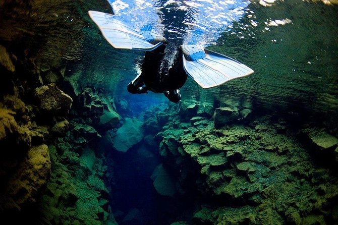 Snorkeling in Silfra From Reykjavík | Small Group + Free Photos - Reykjavik Pickup and Return