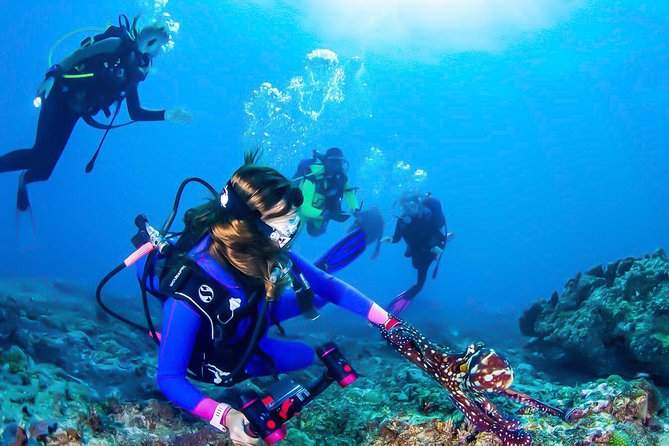 Snorkeling in Talawila St. Annes Reef - Good To Know