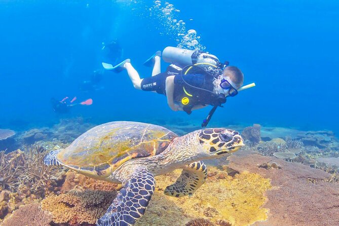 Snorkeling in Talawila St. Annes Reef - Snorkeling Equipment Provided