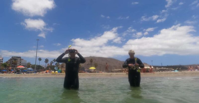 Snorkeling in Tenerife South: Discover the Underwater World - Explore Crystal Clear Waters