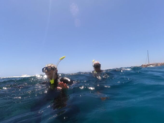 Snorkeling in Tenerife South: Discover the Underwater World - FAQ