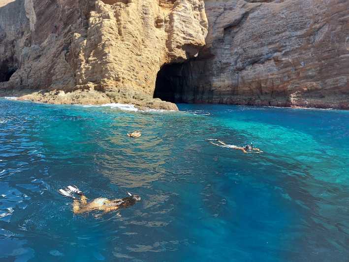 Snorkeling in Terceira Island - Variety of Marine Life