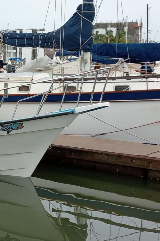 Snorkeling in the 3 Mazatlan Islands - Key Points