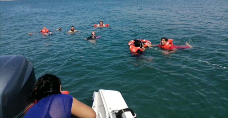 Snorkeling in the 3 Mazatlan Islands - Experience Highlights