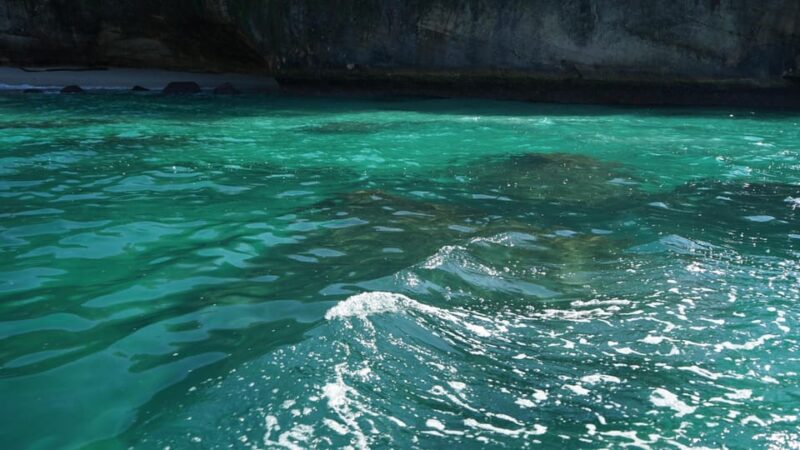 Snorkeling in the 3 Mazatlan Islands - Included in the Tour