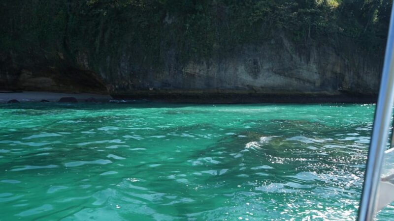 Snorkeling in the 3 Mazatlan Islands - Accessibility and Restrictions