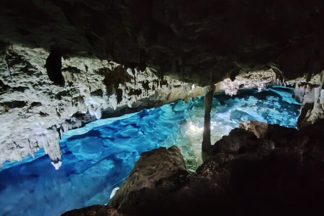 Snorkeling in the Cenotes of Bayahibe - Snorkeling Experience Highlights