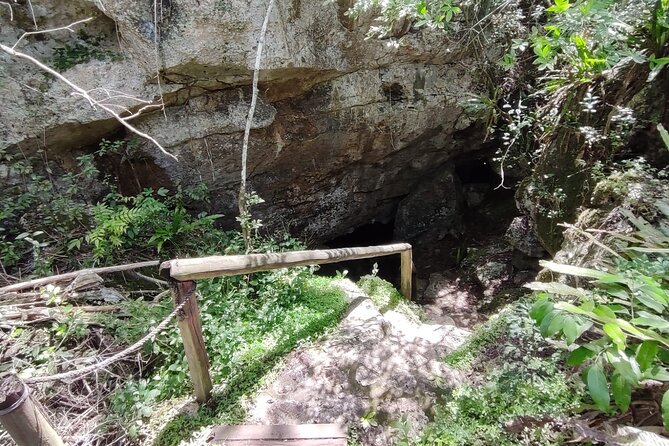 Snorkeling in the Cenotes of Bayahibe - Positive Traveler Feedback