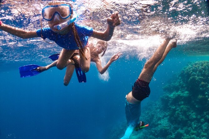 Snorkeling in the Plemmirio Reserve in Syracuse - Safety Measures and Guidelines