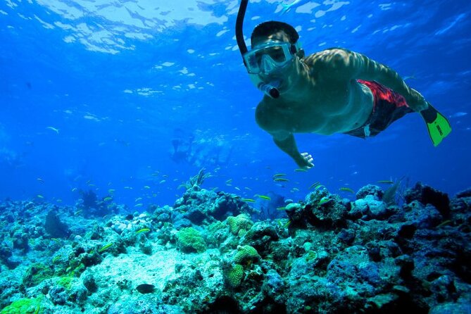 Snorkeling in Trincomalee - Gear and Preparation