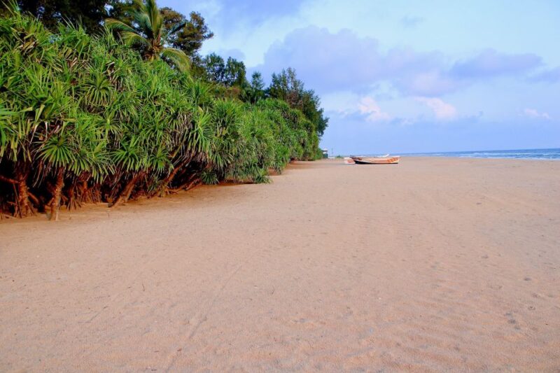 Snorkeling in Trincomalee - Key Points