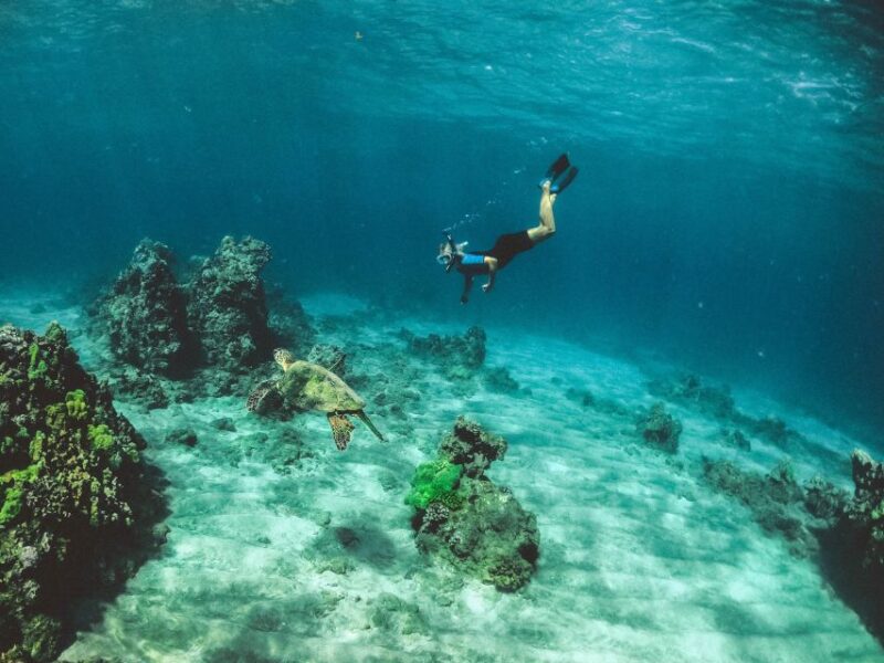 Snorkeling in Unawatuna - Location and Highlights