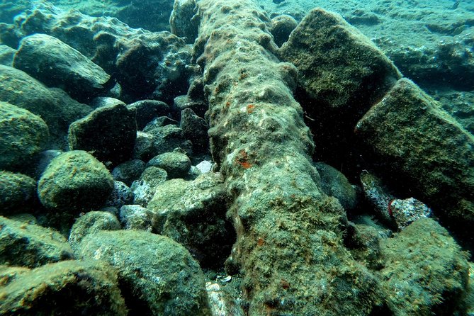 Snorkeling in Vila Franca Do Campo - Pricing and Booking