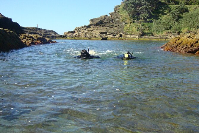 Snorkeling in Vila Franca Do Campo - Participant Information