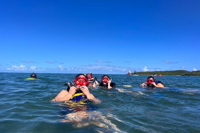 Snorkeling & Kayak Eco-Adventure in Puerto Rico - Insights from Reviews: What Travelers Say