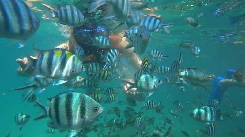 Snorkeling Kayaking Fishing Swimming Activities - An In-Depth Look at the Tour Experience