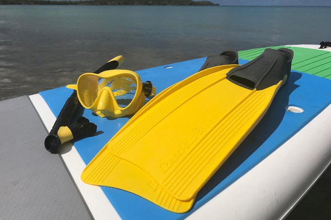 Snorkeling Lesson & Interactive Experience for Kids and Adults - Personalized Attention