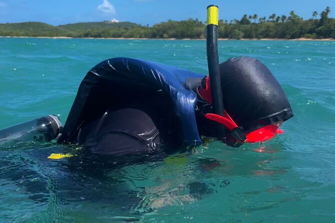 Snorkeling Lesson & Interactive Experience for Kids and Adults - Meeting Information