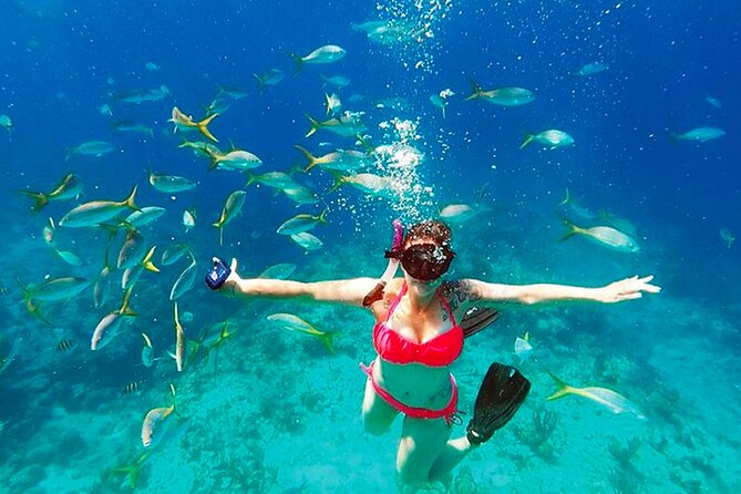 Snorkeling Lunch in West End on Roatans Best Catamaran Tiki Boat - Key Points