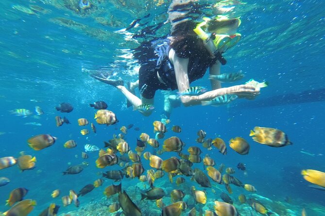 Snorkeling Manta Bay And West Penida Private Guided Tour - Key Points