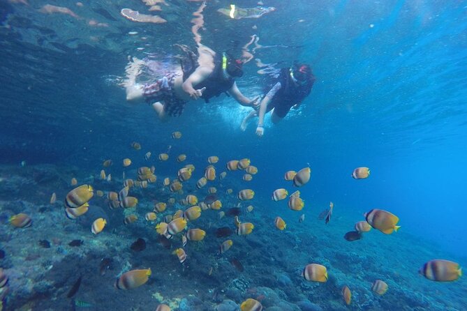 Snorkeling Manta Bay And West Penida Private Guided Tour - Tour Highlights