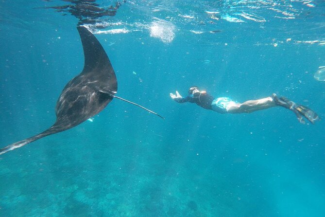 Snorkeling Manta Bay And West Penida Private Guided Tour - Snorkeling Experience