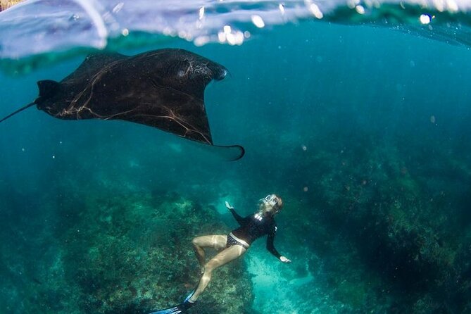 Snorkeling Manta Ray in Nusa Lembongan - Activity Overview