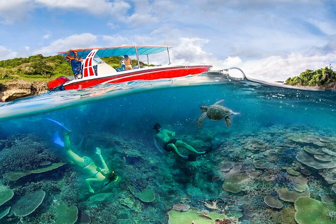 Snorkeling Manta Ray Safari in Nusa Penida - Reviews and Feedback