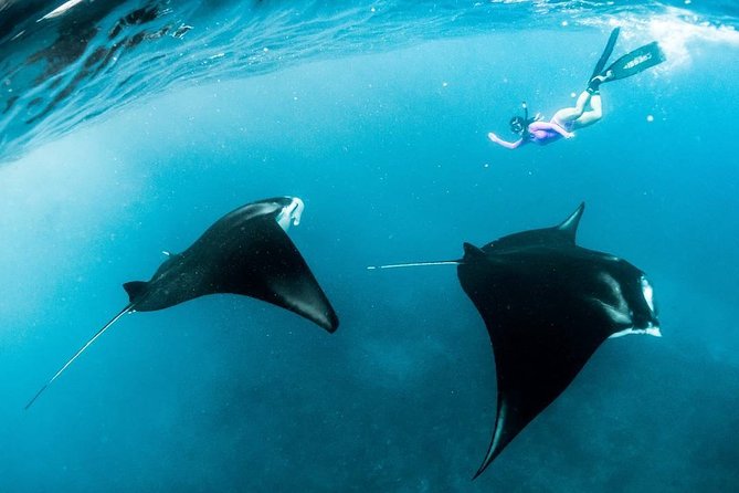 Snorkeling Manta Ray Safari in Nusa Penida - Health and Safety Considerations