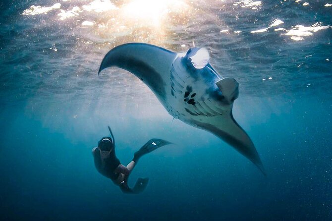 Snorkeling Manta Ray Safari in Nusa Penida - Manta Ray Encounter Spots