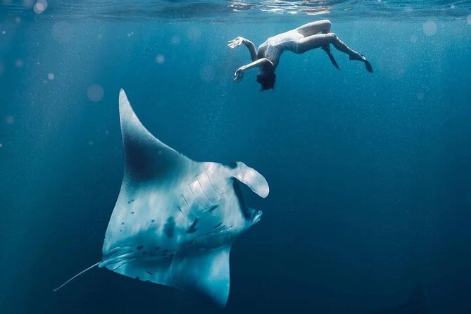 Snorkeling Manta Rays and Land Tour Nusa Penida <> All-Included - Snorkeling Duration