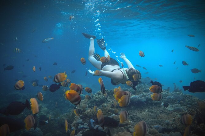 Snorkeling Manta Rays and Land Tour Nusa Penida <> All-Included - Start Time